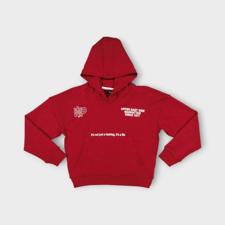 HOODIE: SWEAT A CAPUCHE MOLLETON COTTON