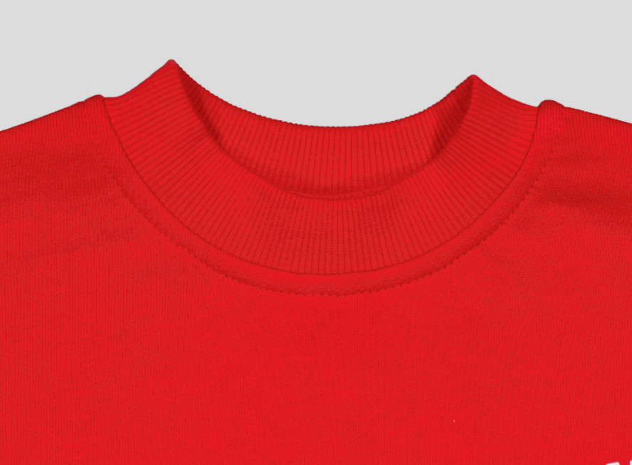 Sweat garçon col rond molleton 100 % coton imprimé devant et dos