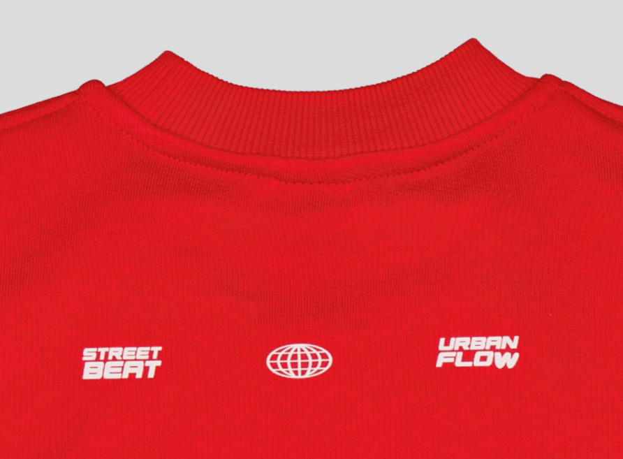Sweat garçon col rond molleton 100 % coton imprimé devant et dos