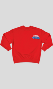 Sweat garçon col rond molleton 100 % coton imprimé devant et dos