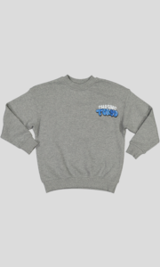 Sweat garçon col rond molleton 100 % coton imprimé devant et dos