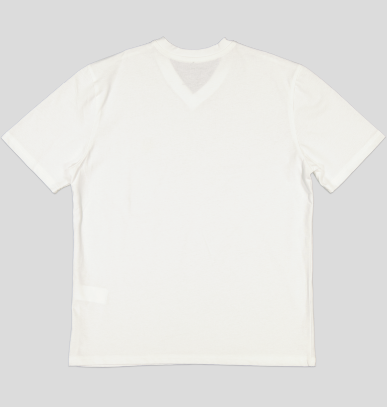 TSHIRT HOMME 100% COTON COL V