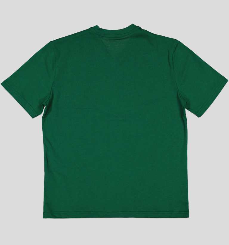 TSHIRT HOMME 100% COTON COL V