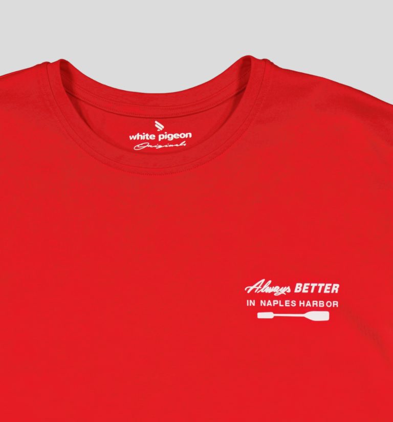 T-shirt pour homme en jersey 100% coton