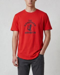T-shirt pour homme en jersey 100% coton