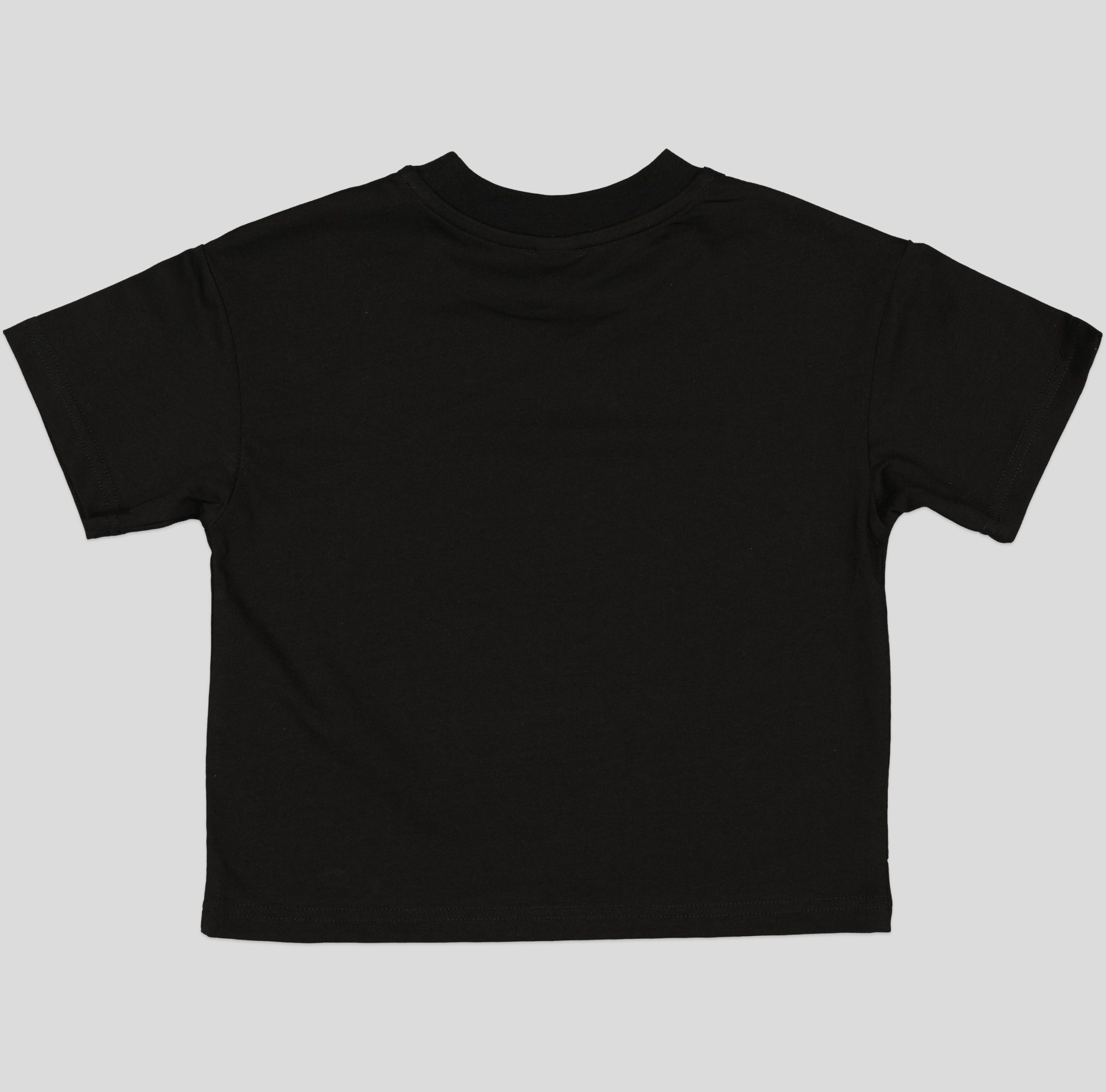 TSB030_WP+1_WP T-shirt garçon en jersey 100% coton léger – Image 11