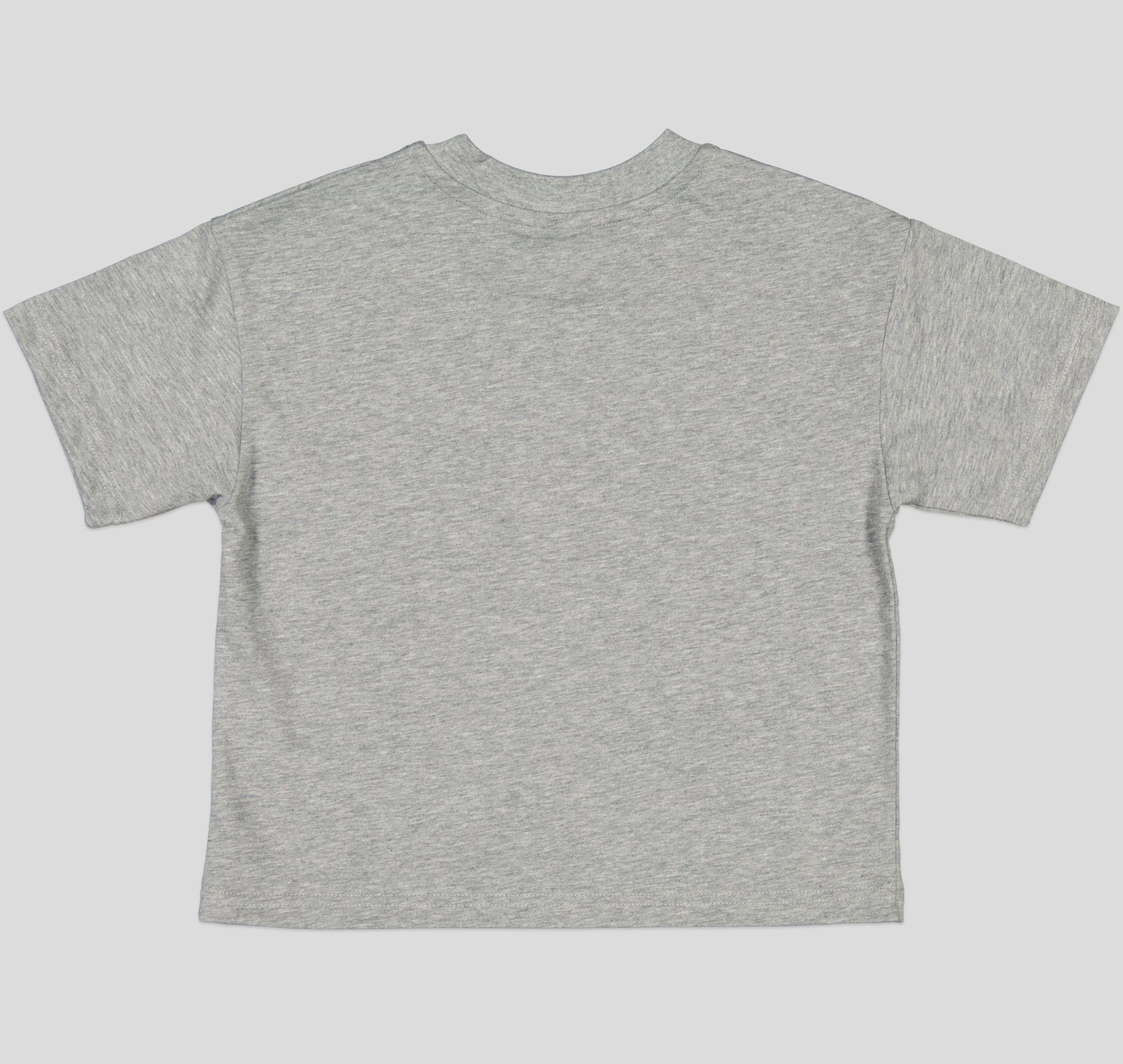 TSB030_WP+3_WP T-shirt garçon en jersey 100% coton léger – Image 6