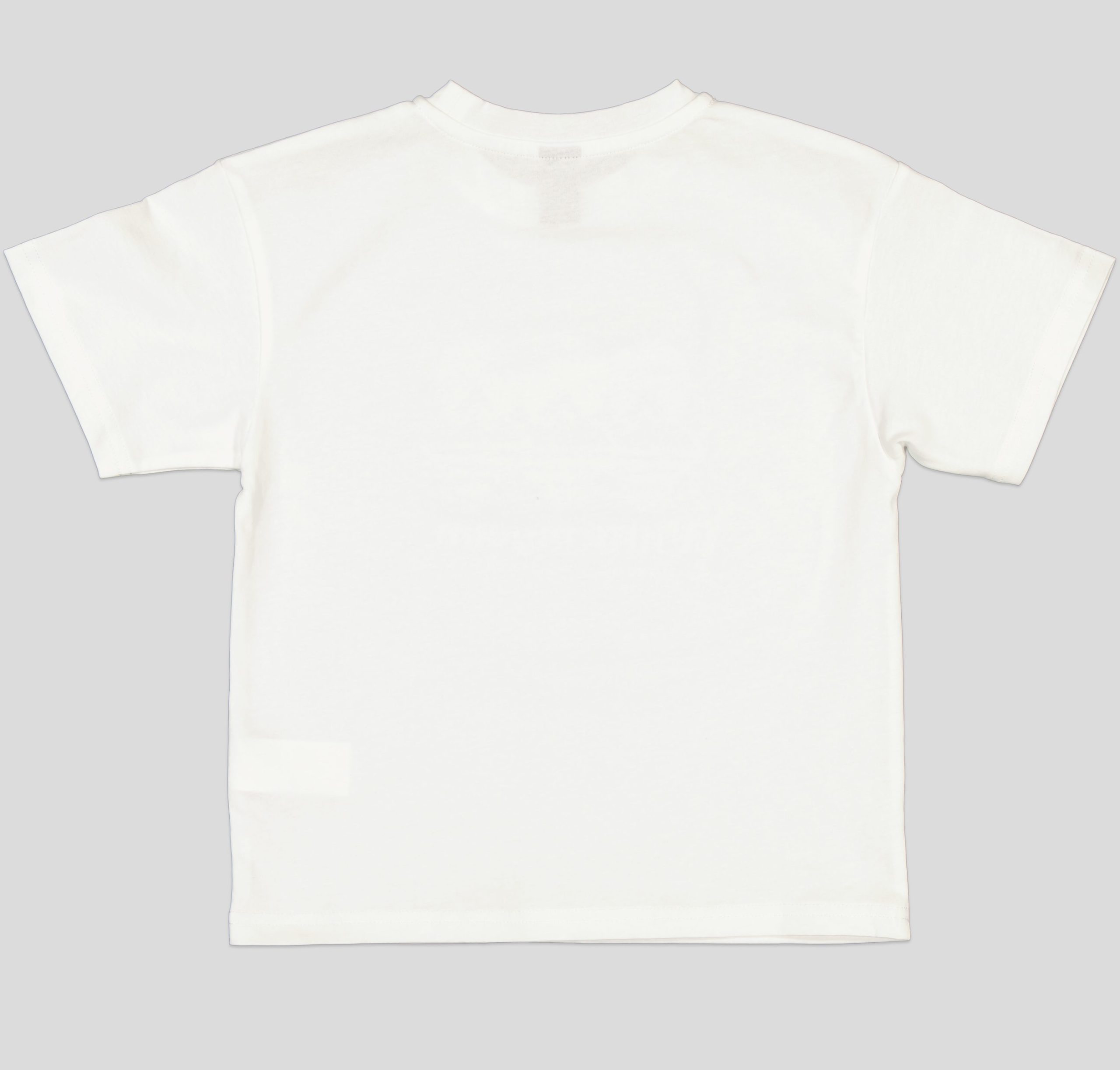 TSB051_WP+1_WP T-SHIRT GARCON MANCHE COURTE 100 % COTON – Image 5