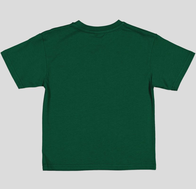 T-SHIRT GARCON MANCHE COURTE 100 % COTON