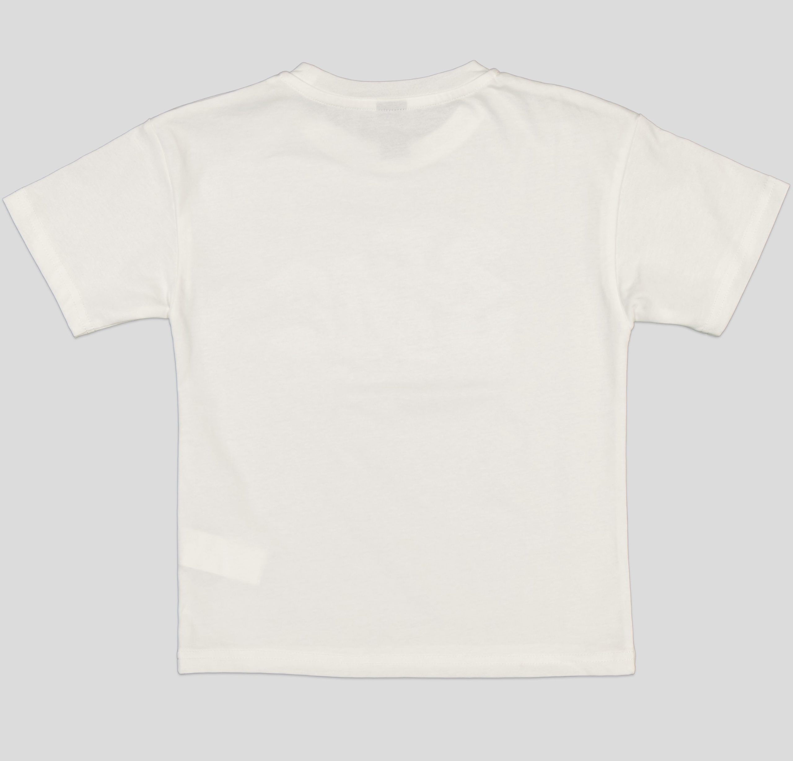TSB057_WP+2_WP T-SHIRT GARCON MANCHE COURTE 100 % COTON – Image 5