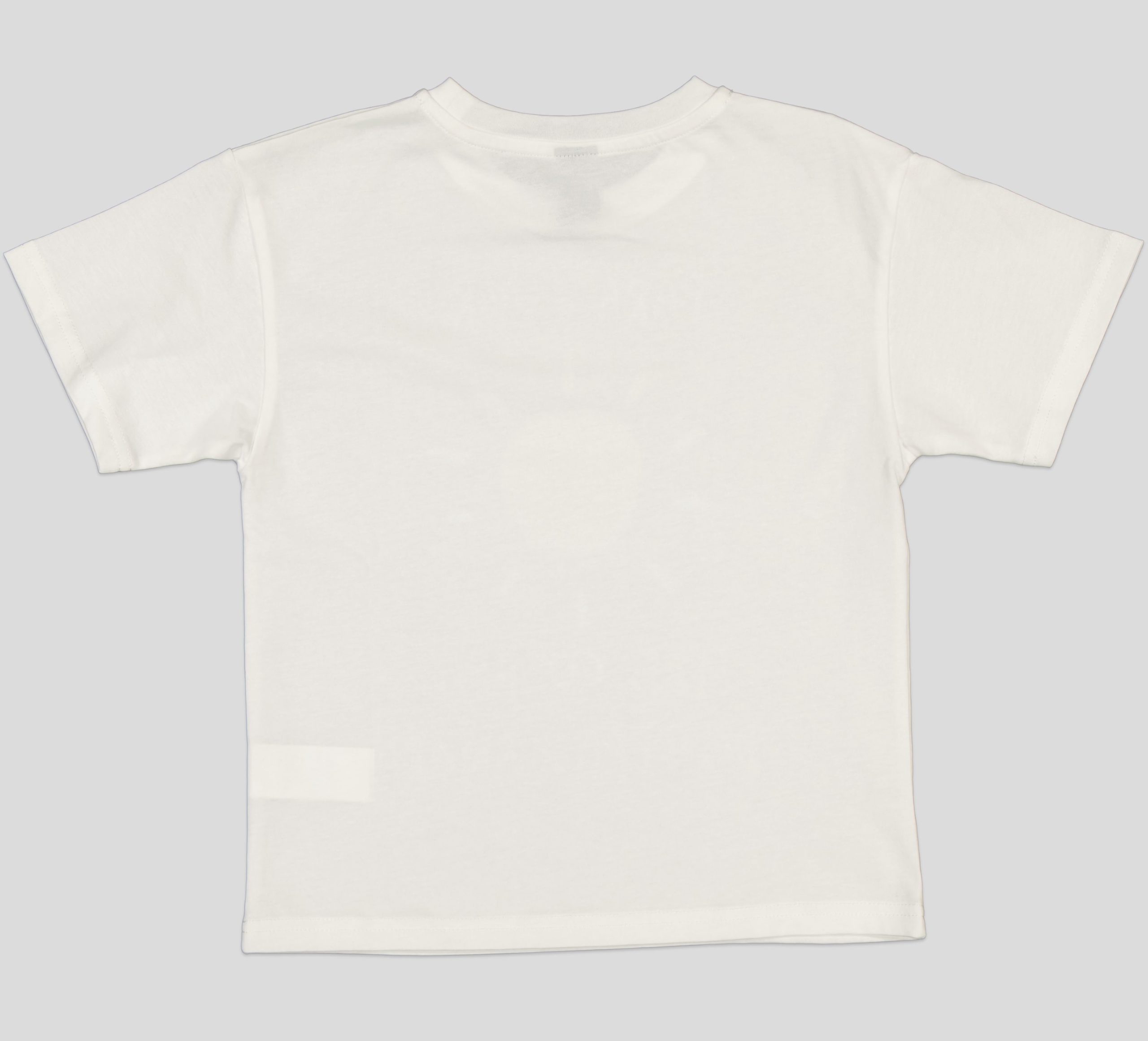 TSB058_WP+1_WP T-SHIRT GARCON MANCHE COURTE 100 % COTON – Image 5
