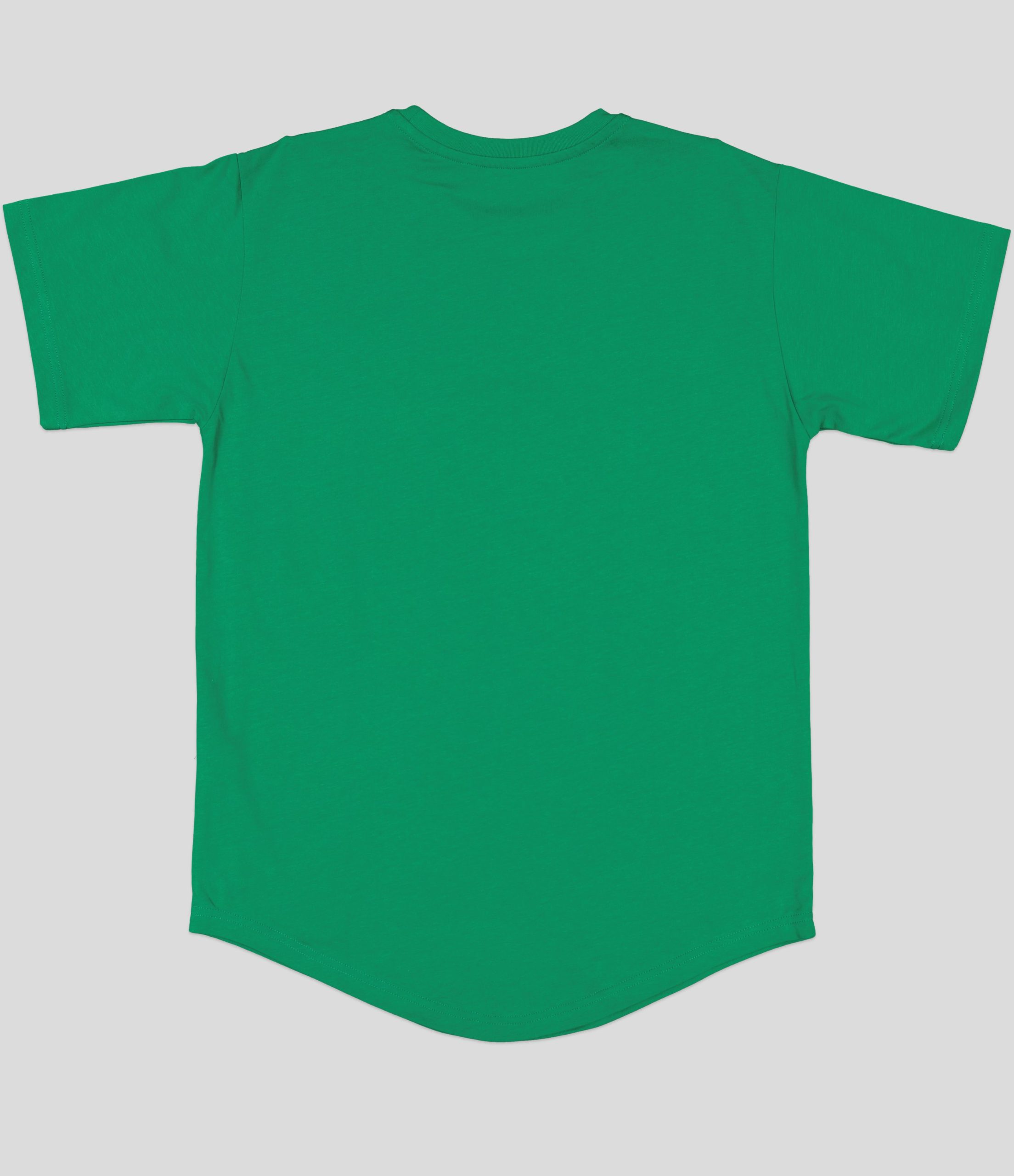 TSH009_WP+3_WP T-shirt pour homme en jersey 100% coton – Image 5