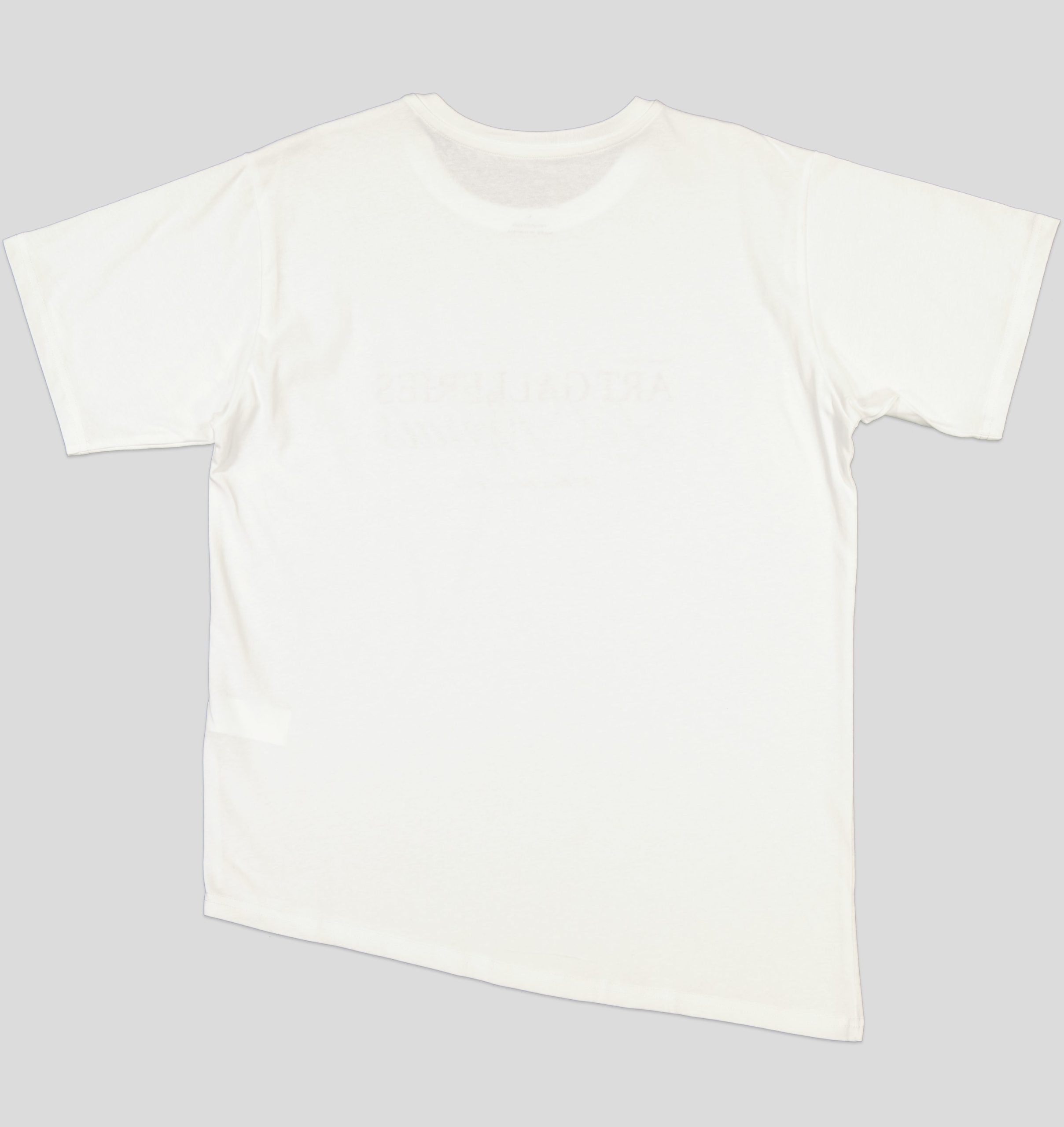 TSH023_WP+3_WP T-SHIRT FEMME MANCHE COURTE 100% COTON – Image 9