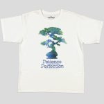 T-SHIRT HOMME 100 % COTON