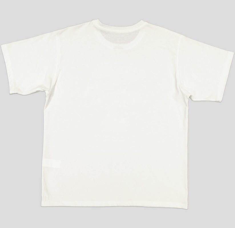 T-SHIRT HOMME 100 % COTON
