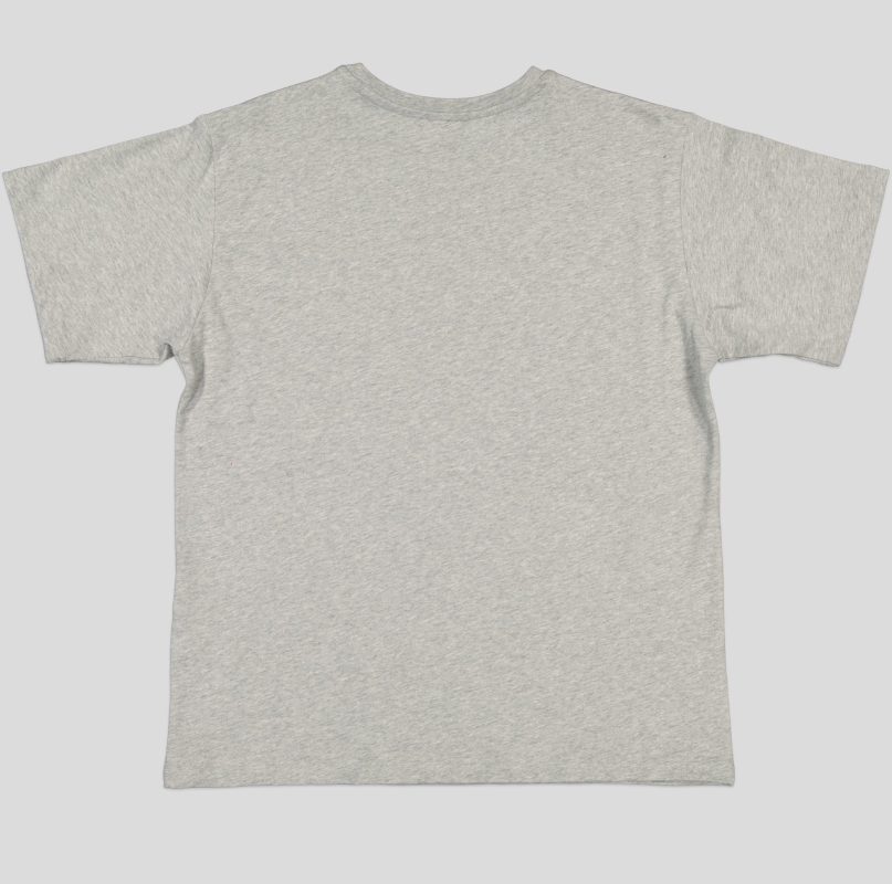 T-HOMME COL ROND 100 % COTON