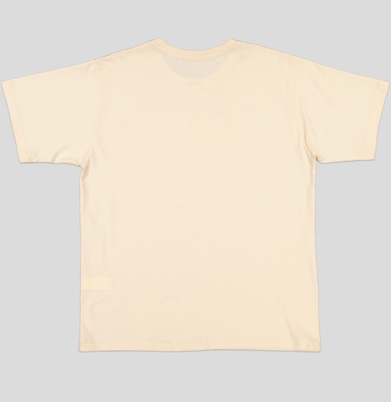 T-HOMME COL ROND 100 % COTON