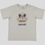 T-HOMME COL ROND 100 % COTON