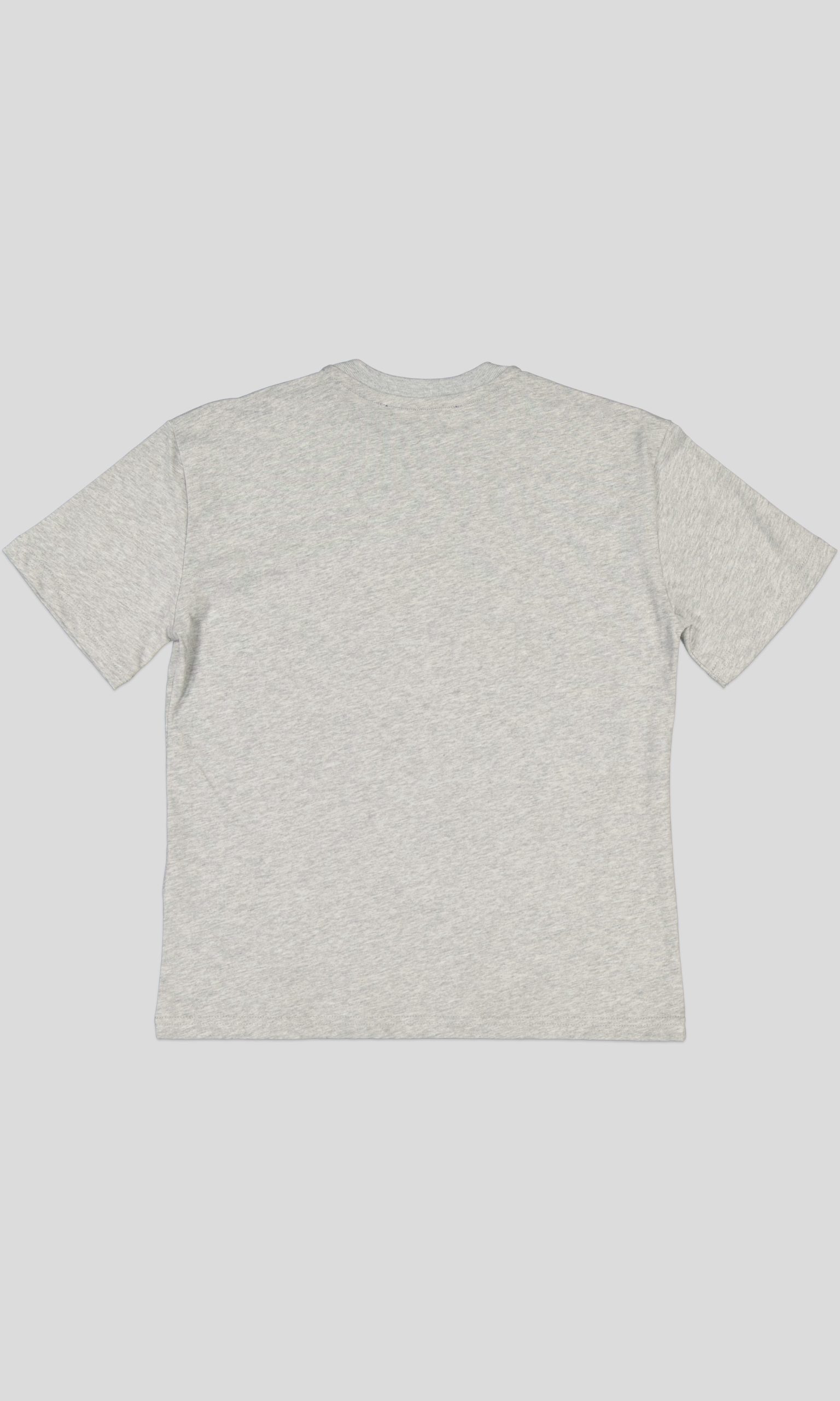 TSW012_WP+1_WP T-SHIRT FEMME REGULAR FIT JERSEY 100 % COTTON – Image 6