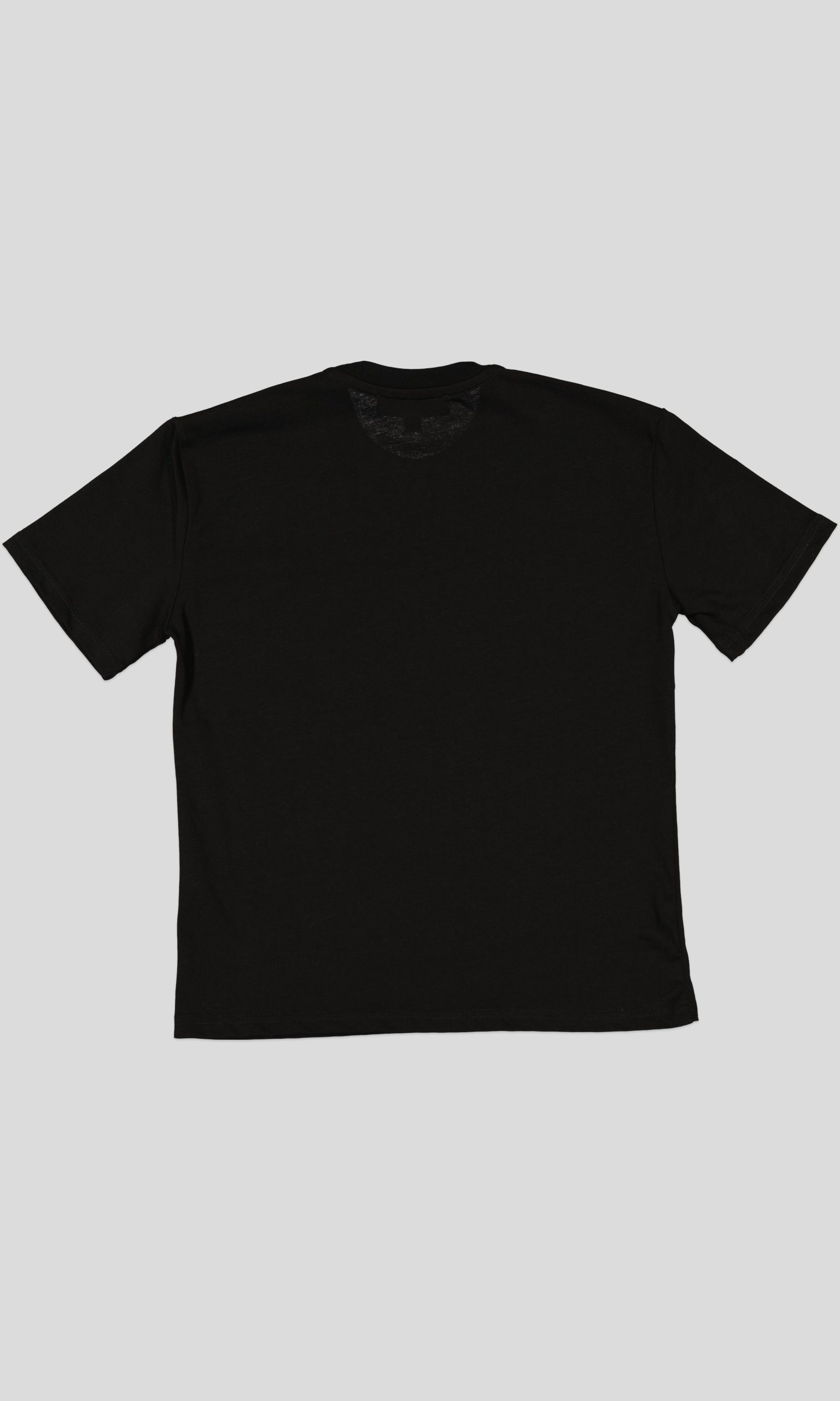 TSW012_WP+3_WP T-SHIRT FEMME REGULAR FIT JERSEY 100 % COTTON – Image 11