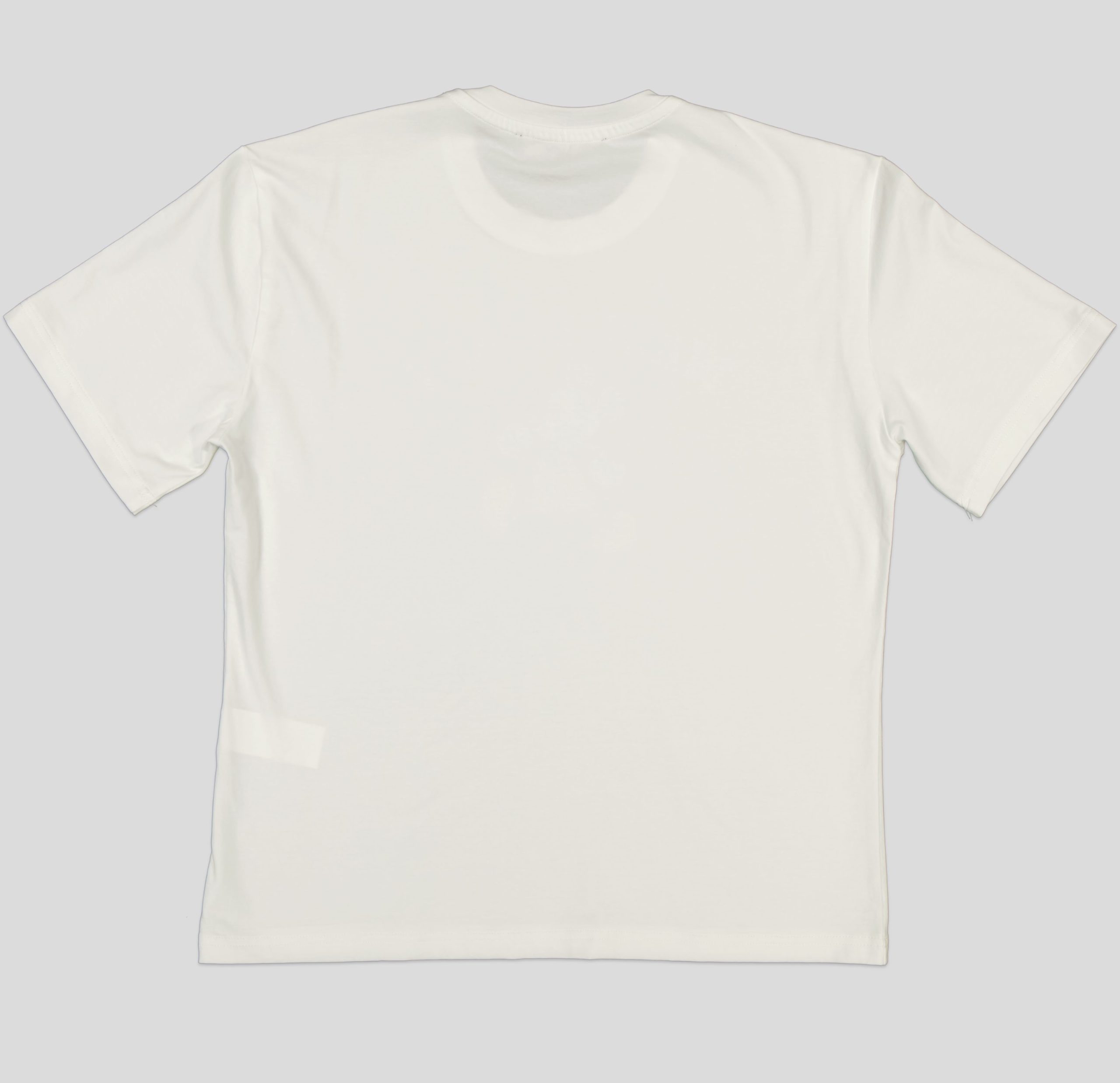 TSW090_WP+3_WP T-SHIRT FEMME 100 % COTON – Image 7