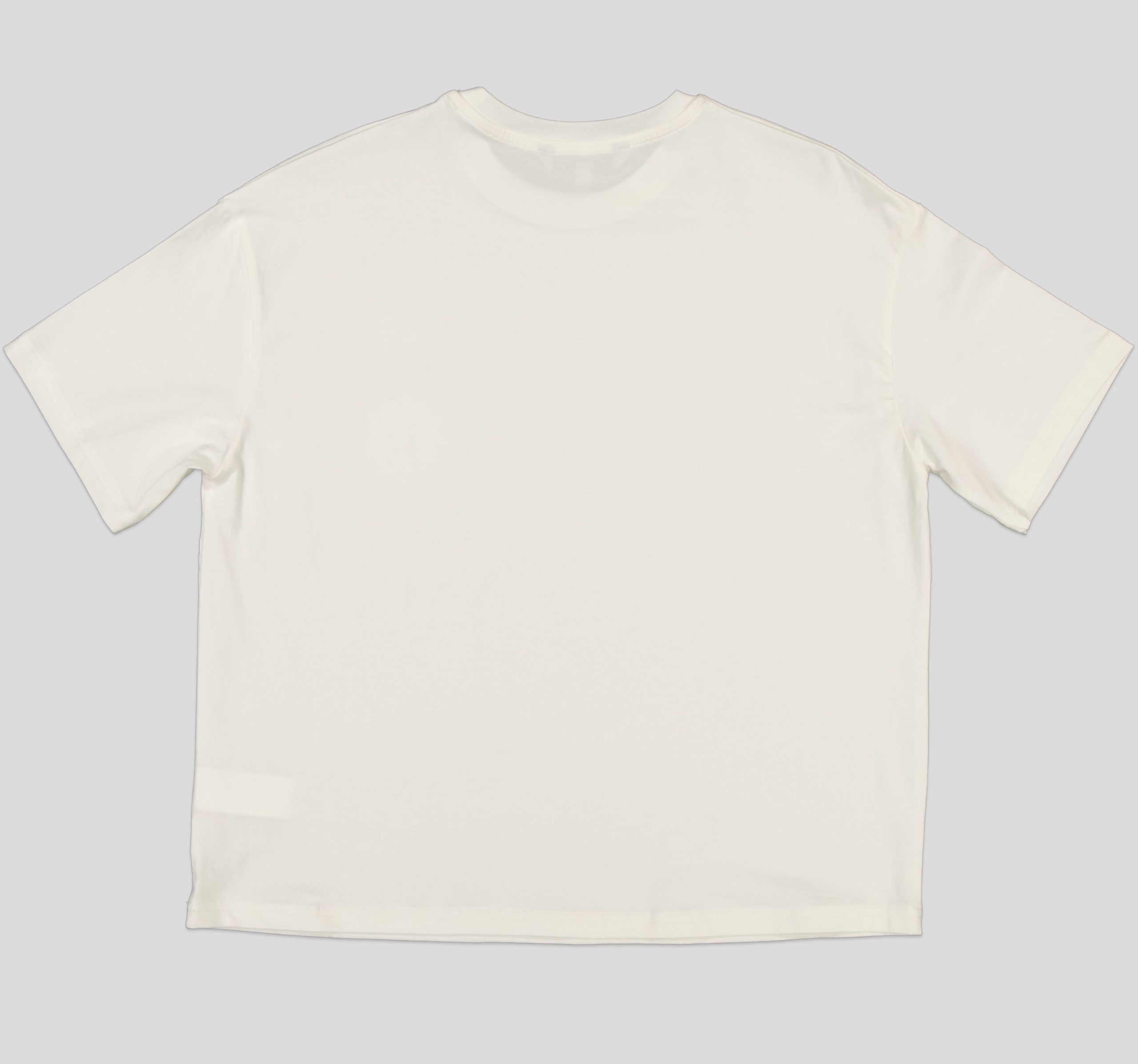 TSW093_WP+3_WP T-SHIRT FEMME 100 % COTON – Image 7