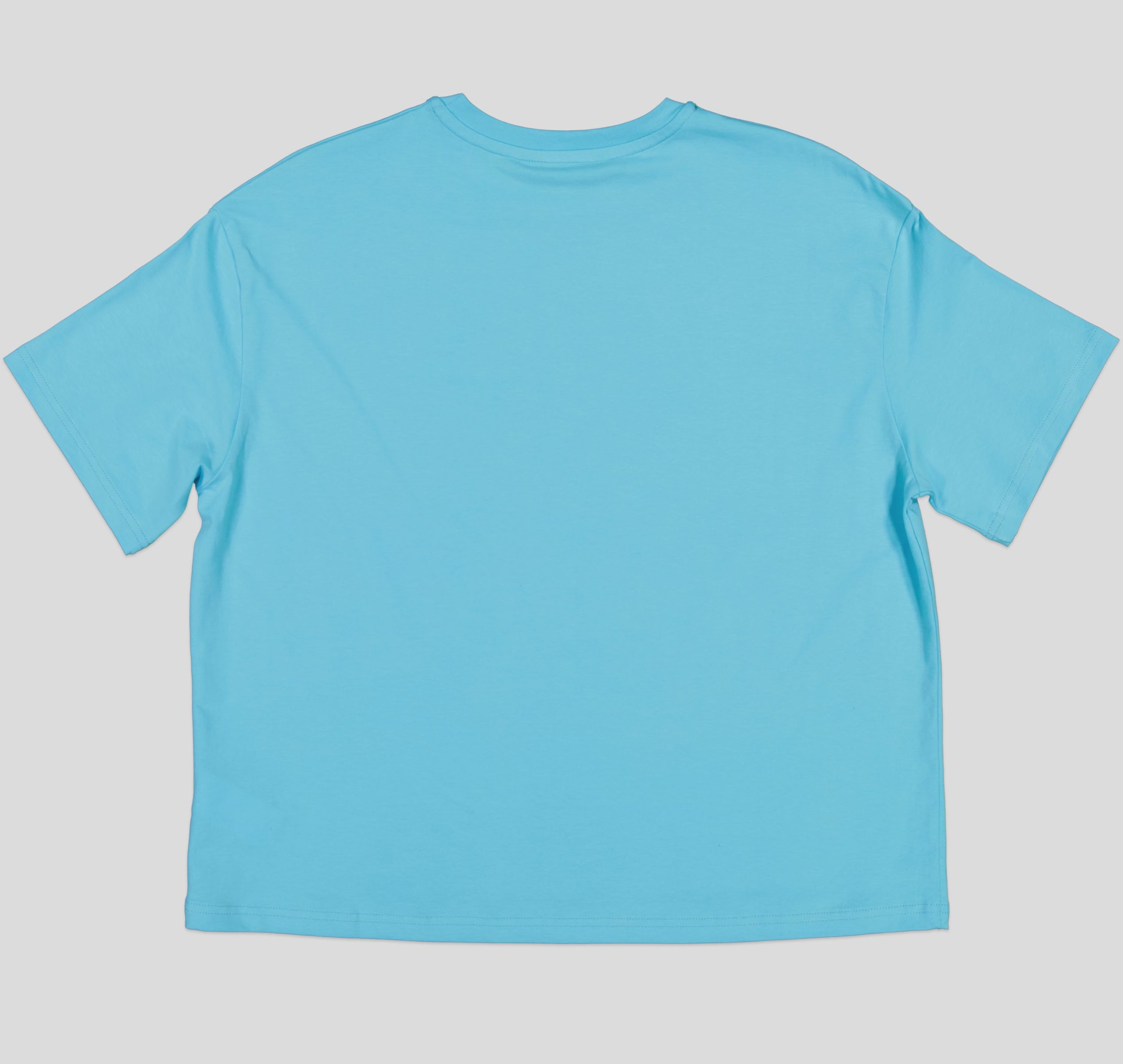 TSW093_WP+5_WP T-SHIRT FEMME 100 % COTON – Image 4