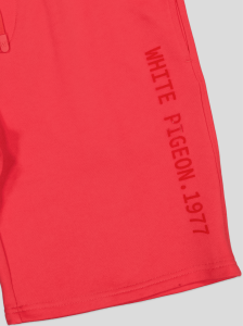 Short jogging Homme "White Pigeon 1977"
