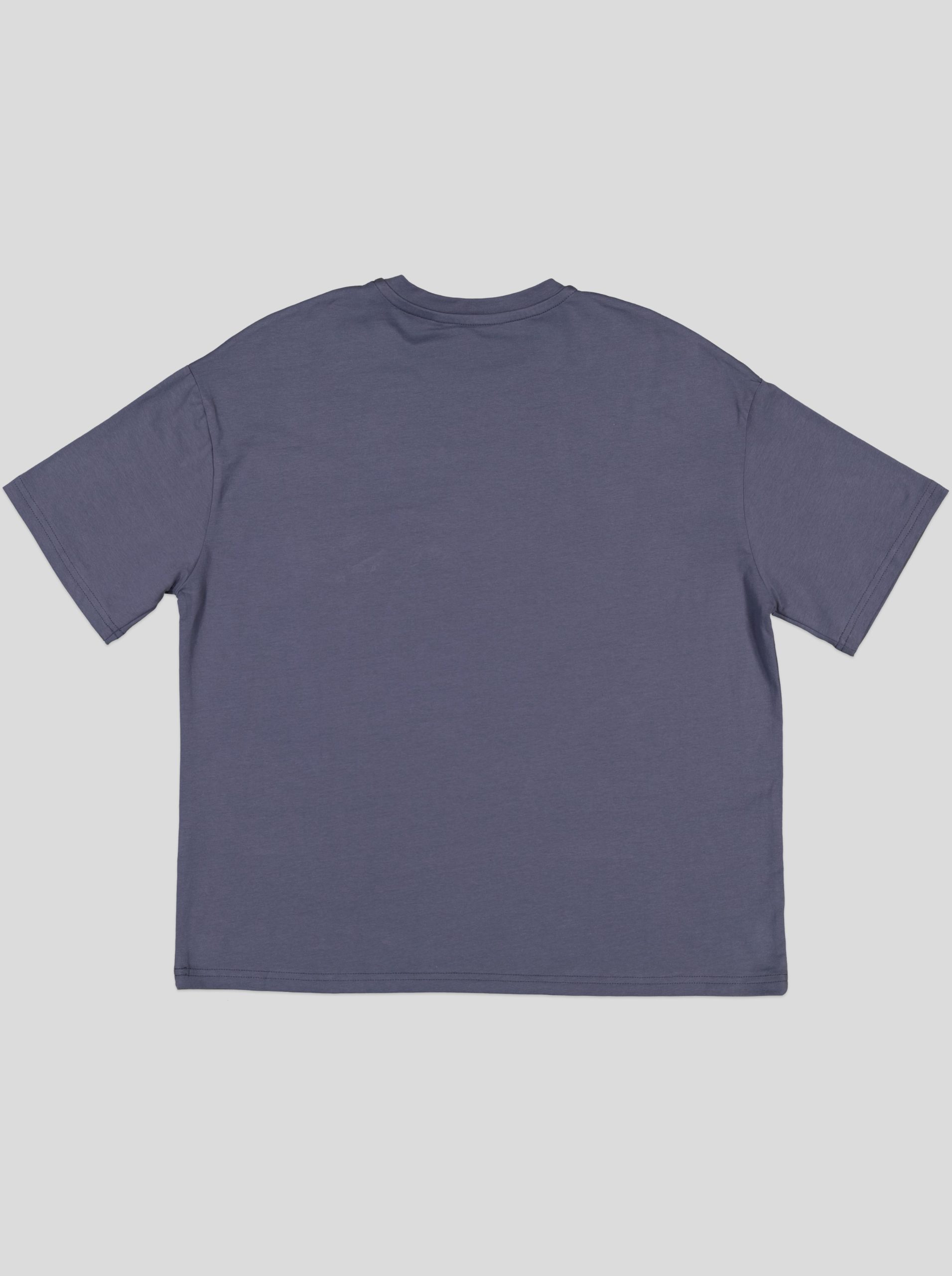 TSW095_WP+1_WP T-shirt Femme Basique – Image 4